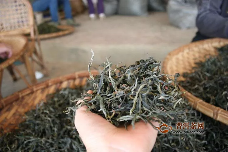 竹林寨普洱茶