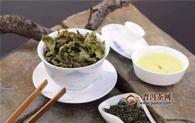 烏龍茶種類有哪些？