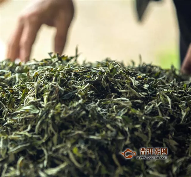乌龙茶采摘鲜叶的标准，顶端采3至5片茶叶嫩芽！