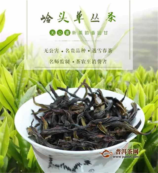乌龙茶种类及制作工艺