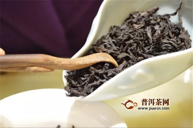 武夷山水金龟是什么茶？