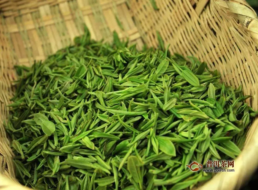 綠茶色澤有些什么？綠茶的色澤——清湯綠葉