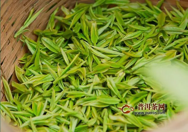 绿茶里哪种好喝？绿茶的品牌