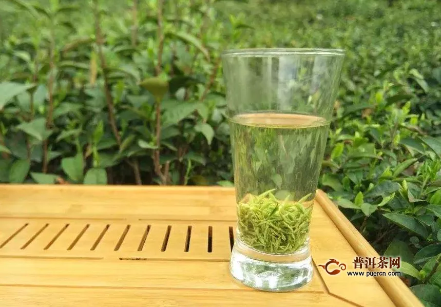 茉莉綠茶制作方法，茉莉綠茶的功效