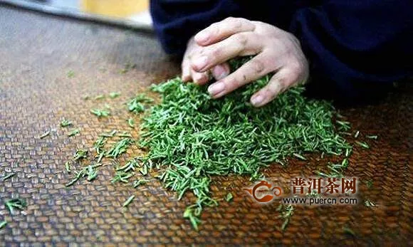 黟山雀舌茶制作工序流程