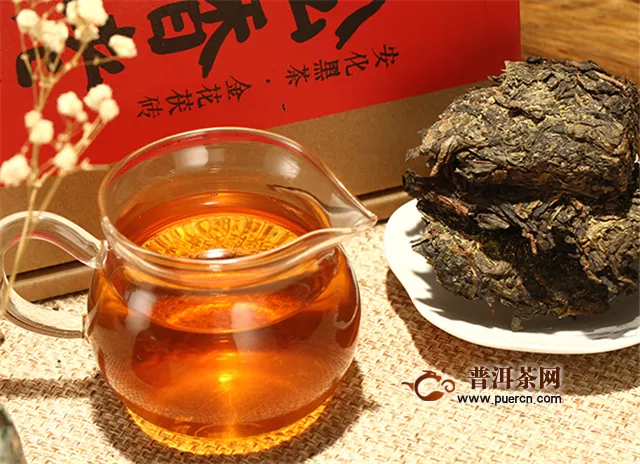 泾渭茯茶喝法，