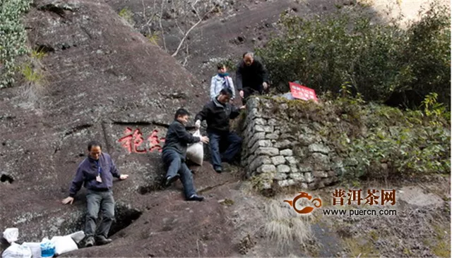 大红袍是乌龙茶吗