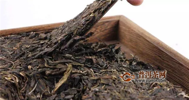 普洱茶属于红茶还是绿茶
