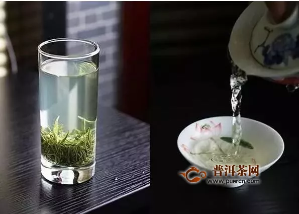 雀舌是紅茶還是綠茶