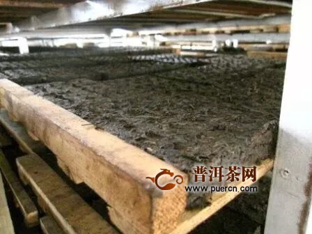 7581镭射砖的历史，昆明茶厂的经典之作！