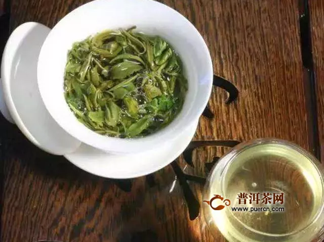 绿杨春茶冲泡方法