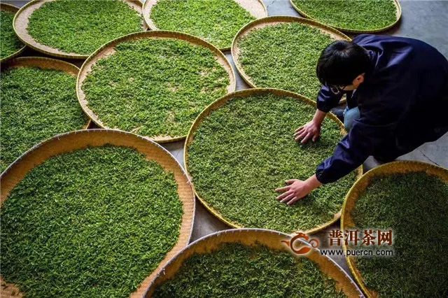 南京雨花茶的来历，雨花茶创制年代！