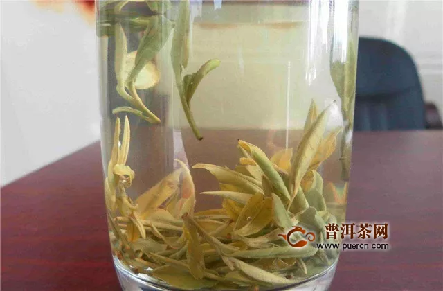 黄茶适合什么季节喝？黄茶最适合夏、秋季节饮用