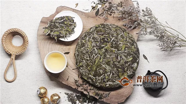 月光白是白茶還是普洱茶