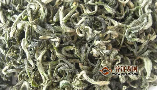 就品種來說，綠茶是不是白茶