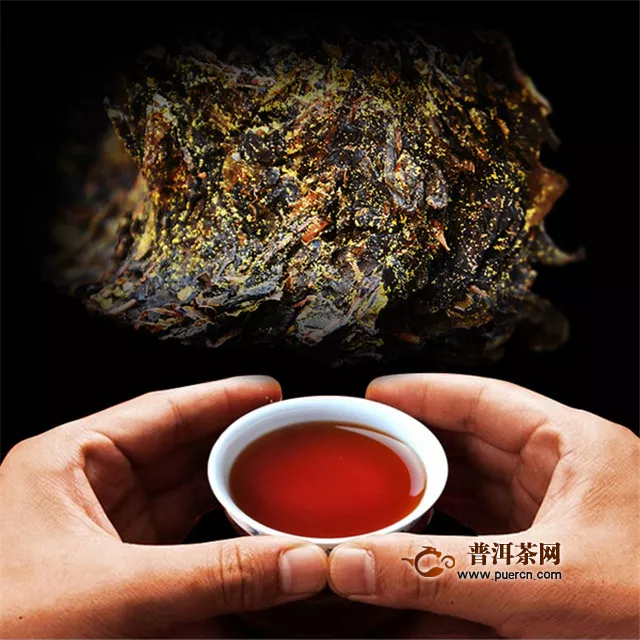 茯茶是绿茶吗？不是，是黑茶！