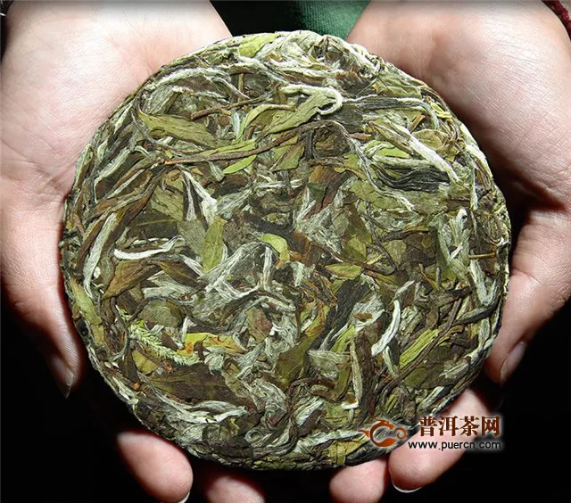 福建白茶的特点，集多种文化于一身的特殊茶类！