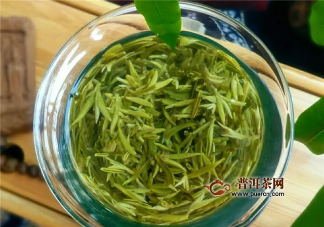 菊花茶是绿茶吗