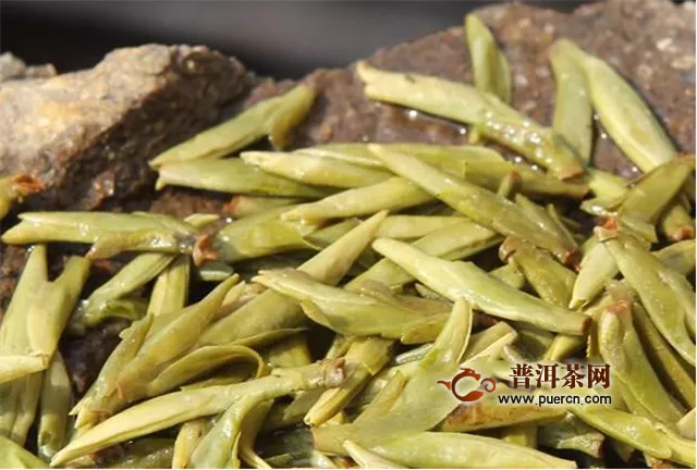 新昌龙井是绿茶吗？