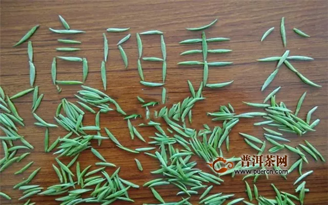 信陽毛尖茶葉是綠茶嗎？為什么？