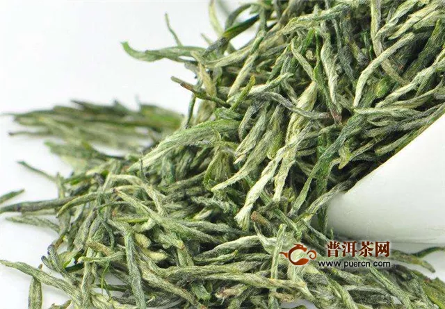 信陽毛尖茶葉是綠茶嗎？為什么？