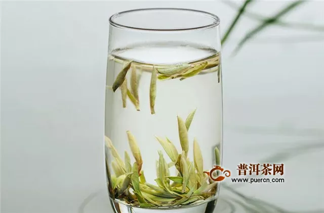 减肥期间可以喝白茶吗？