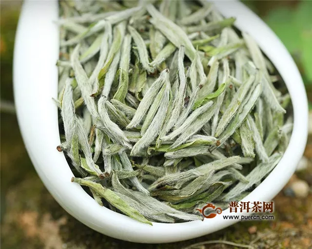 白毫銀針是什么茶？白茶中的珍品茶葉