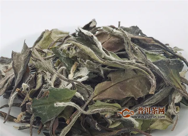 福鼎白茶的做法，传统工艺制作的白茶能喝到“阳光的味道”