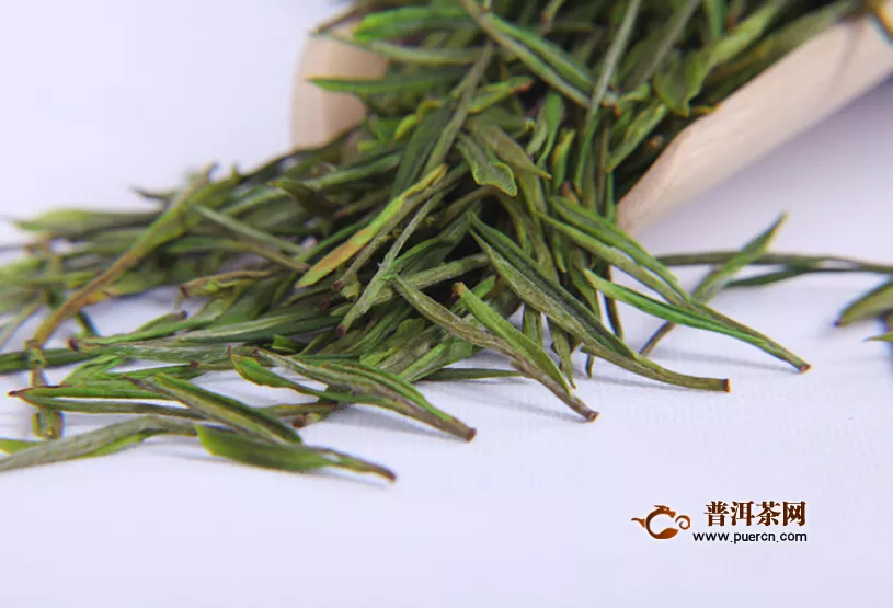 绿茶精华的功效与作用，绿茶精华如何使用