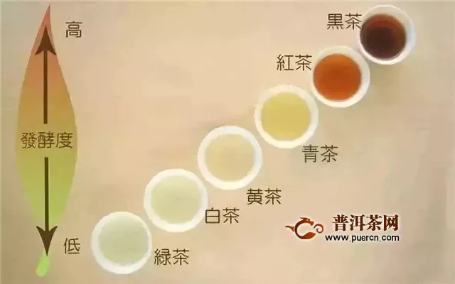 白茶是紅茶嗎