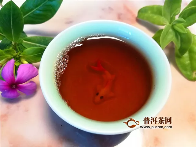 寒露菊漸黃，恰是品熟時：2019年郎河普洱郎河醇香熟茶試用報告