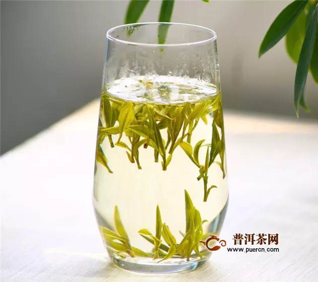 黃小茶的特點(diǎn)