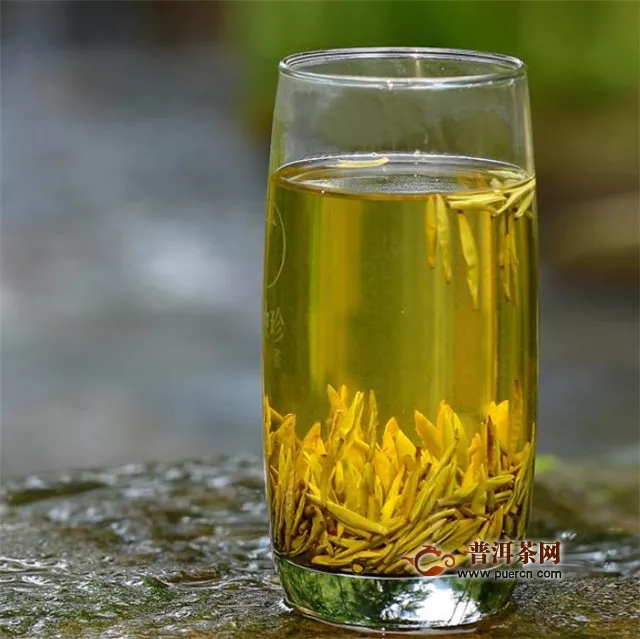 黄芽茶的泡法