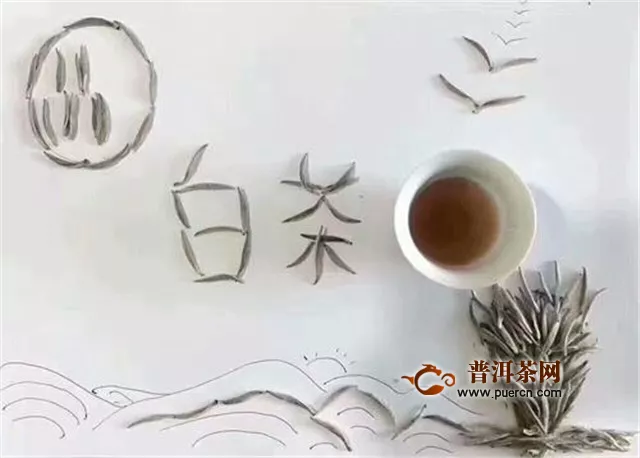 六安瓜片和白茶