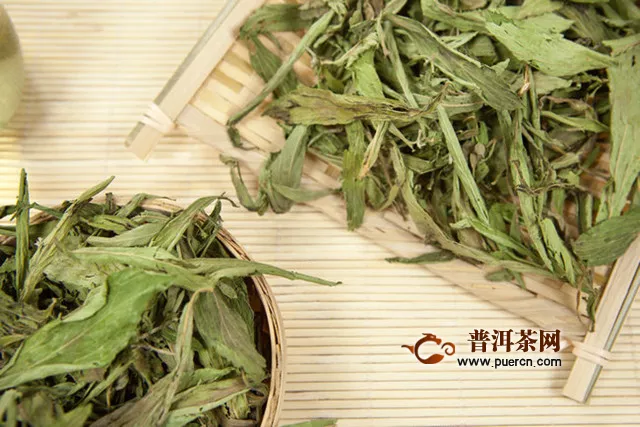 甜葉菊茶有什么功能