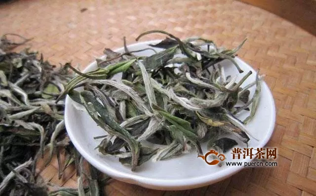 黃山毛峰和白茶哪個(gè)好？怎么鑒別？