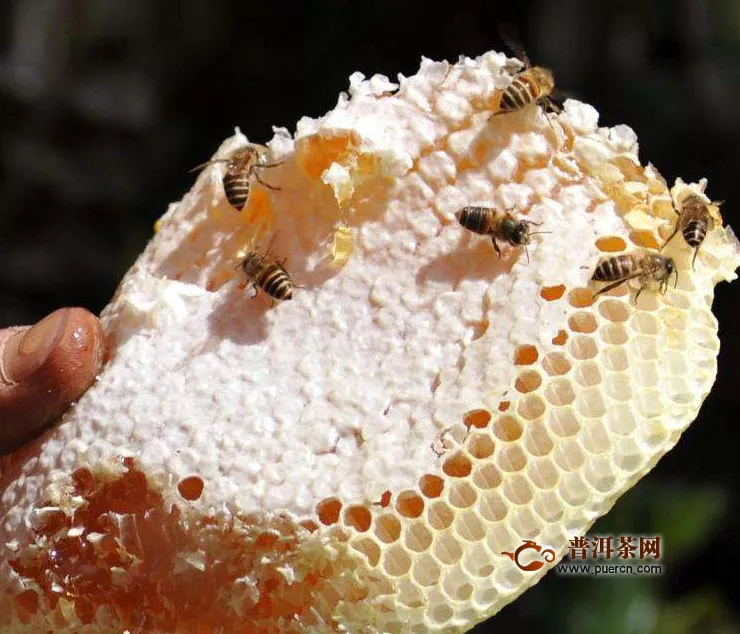 蜂蜜不能和什么同食？蜂蜜和什么一起吃最好