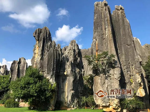 游戰(zhàn)友俊仲號普洱茶總部