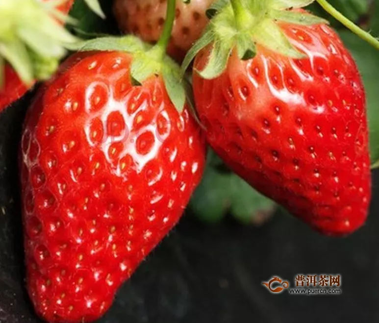 草莓最佳采摘时间，什么时候摘草莓最好？