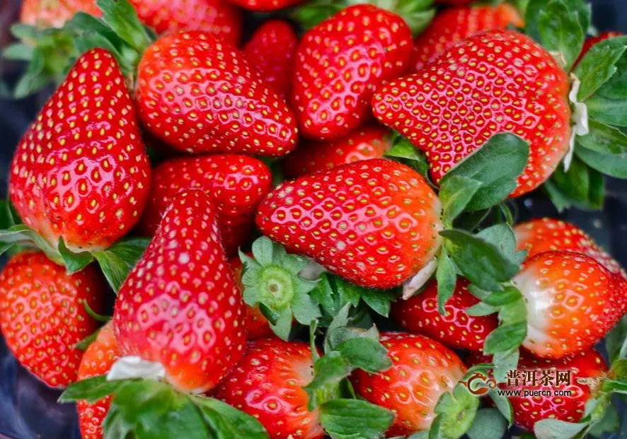 草莓一年能采摘几次？草莓一年结几次果？