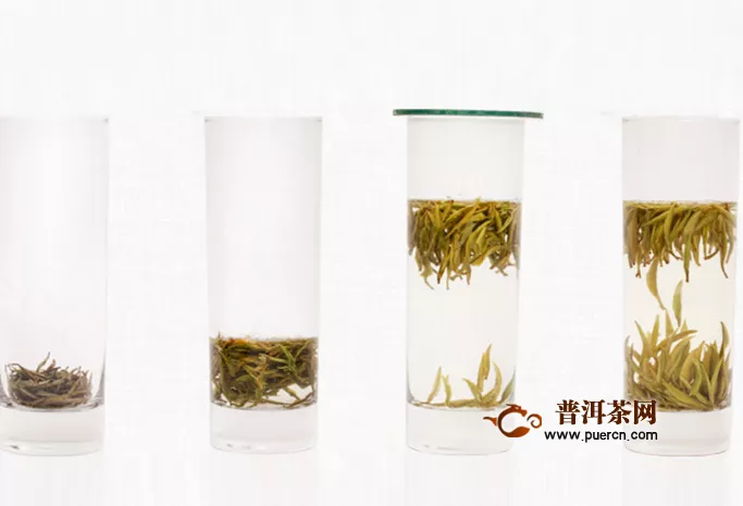 君山银针茶的功能，饮用禁忌