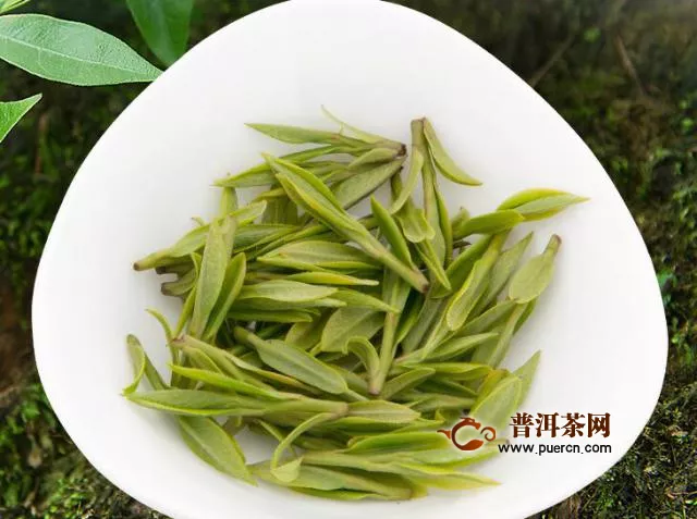 竹葉青茶湯顏色，竹葉青茶特征