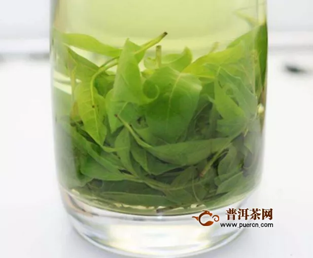 苦丁茶真的好嗎？苦丁茶的營養(yǎng)價(jià)值