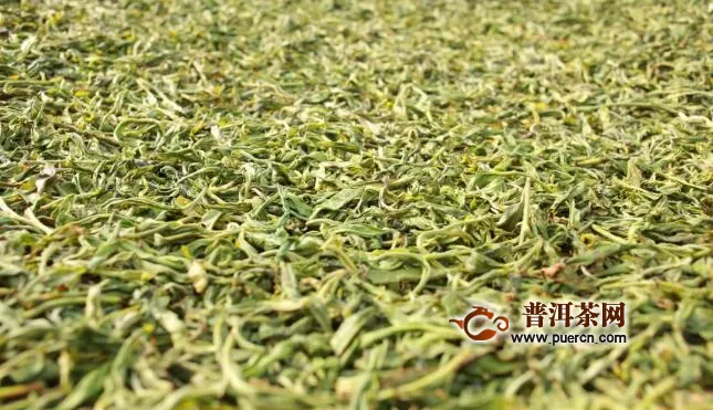 女性喝黄茶好吗？