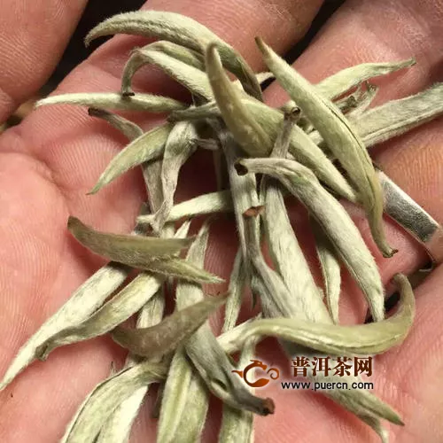 仁化白毛茶价格多少钱一斤