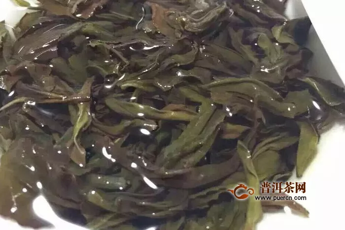 水金龟是寒性茶吗？