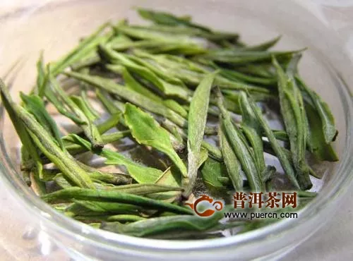 飲用茅山青峰的好處與壞處