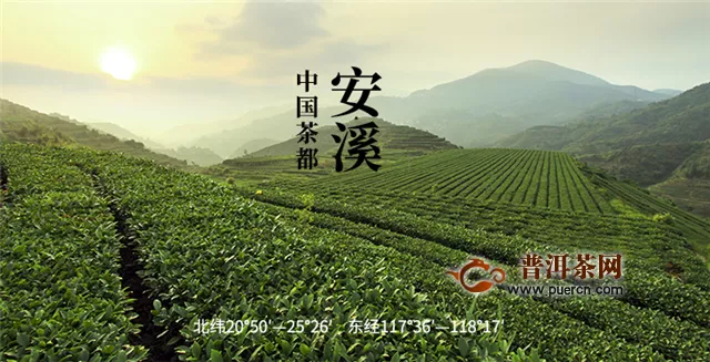 鐵觀音和烏龍茶的產(chǎn)地的區(qū)別