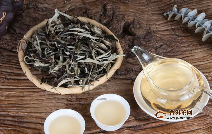 白牡丹属于发酵茶吗？