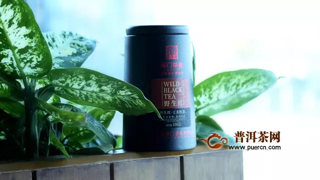 蒲门野生红黑罐上新：寒冬里，依然可以享受春天森林里的花果气息